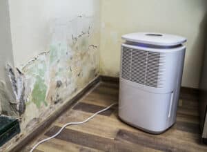 Air filter and drying device for water infiltration, moist, damp, leakage and mold infestation. Toxic fungus growing on an interior wall with dehumidifier next to iit
