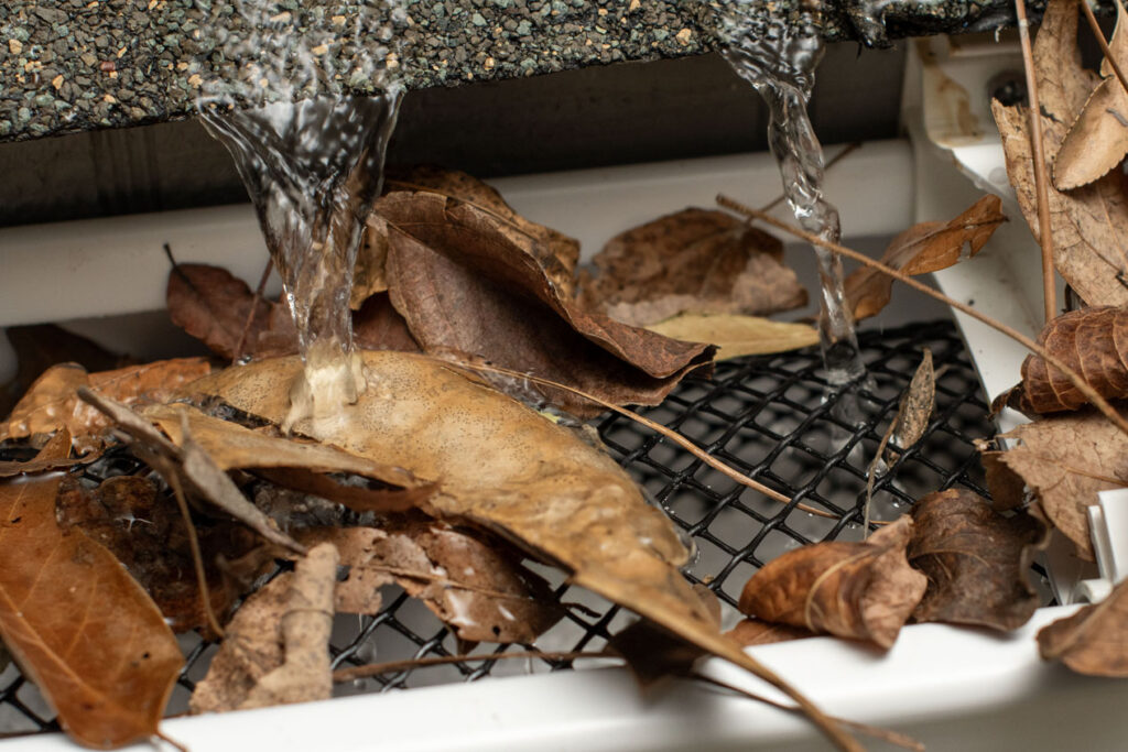 Fallen leaves gather on a mesh gutter guard.