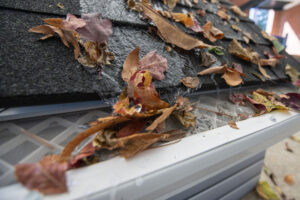 LeafFilter gutter guard installed on a roof.