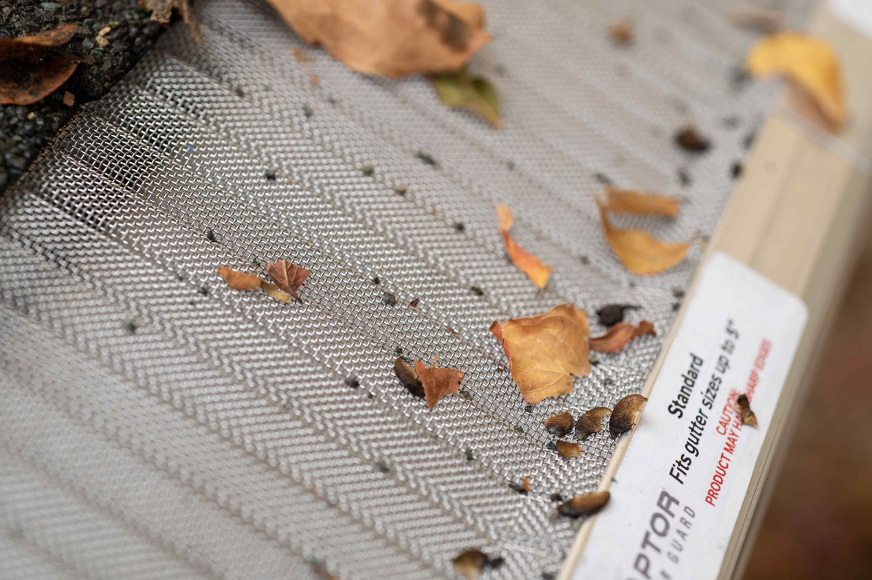 Leaves and debris on a Raptor gutter guard.