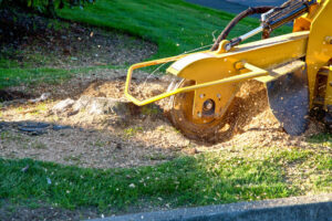 A large yellow machine removing a tree stump in a green yard.