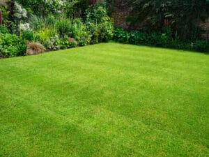 freshly mowed bright green lawn