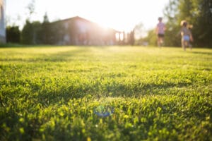 wide angle view of a green lawn with the sun shining down on it