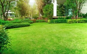 lush green lawn with well-groomed shrubbery