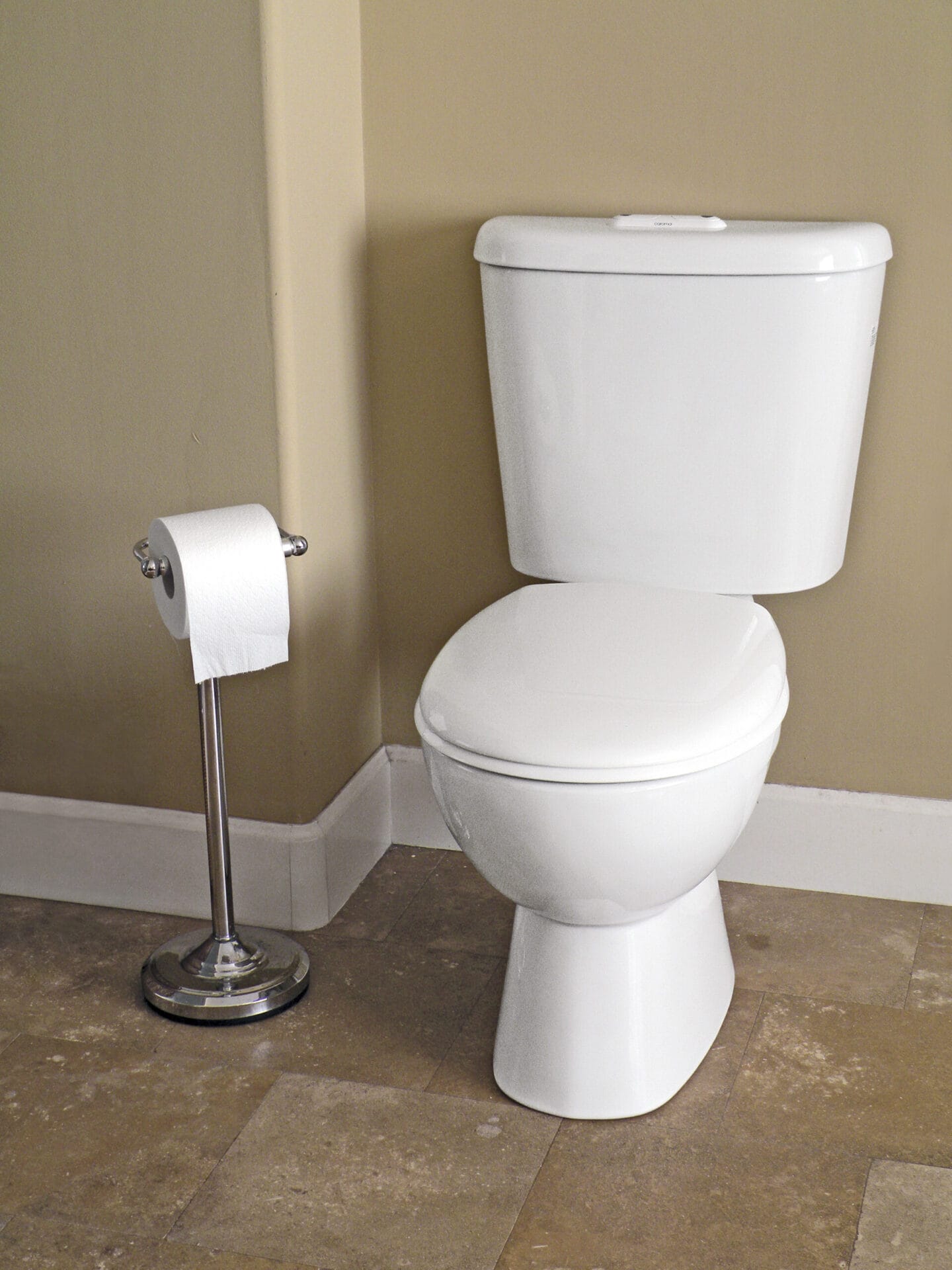 A washdown toilet and toilet paper holder.